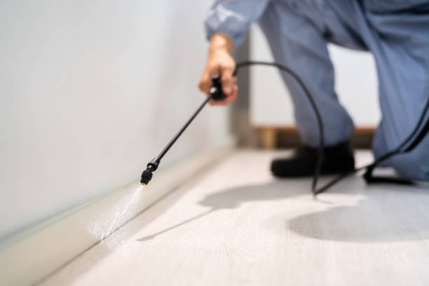 Certified termite inspector examining foundation in Vineland